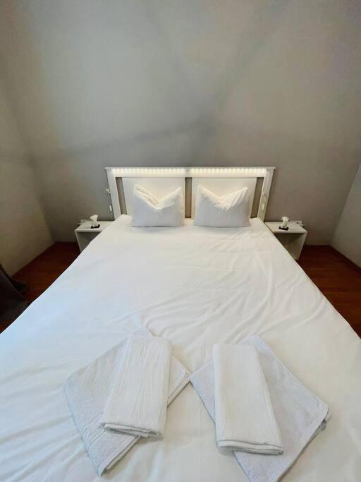 Chic Retreat Timisoara Apartman Kültér fotó