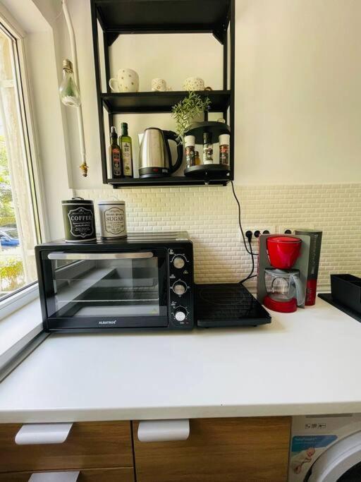 Chic Retreat Timisoara Apartman Kültér fotó