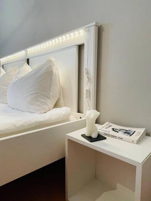Chic Retreat Timisoara Apartman Kültér fotó